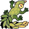 Leafy gecko